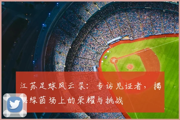 江苏足球风云录：专访见证者，揭秘绿茵场上的荣耀与挑战