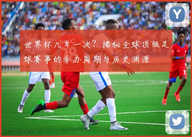 世界杯几年一次?揭秘全球顶级足球赛事的举办周期与历史渊源